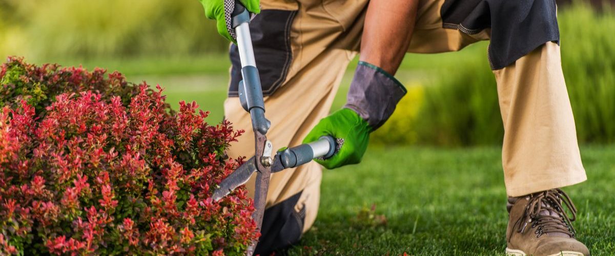 10 Reasons Why Residential Landscape Maintenance is Essential