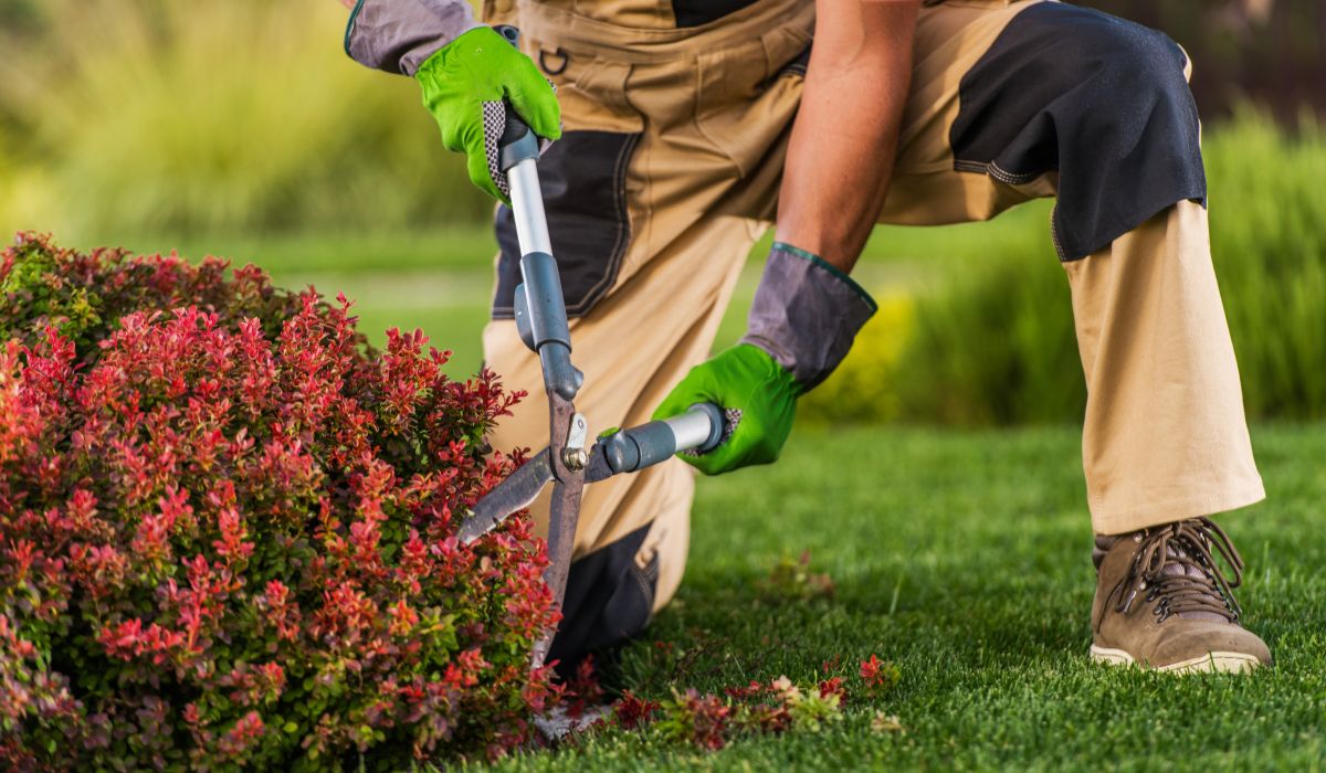 10 Reasons Why Residential Landscape Maintenance is Essential