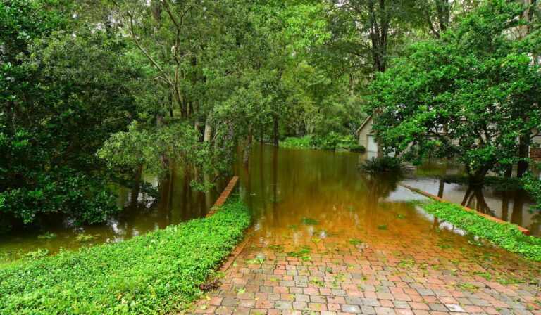 Considerations for Choosing the Right Driveway Paving Stones_