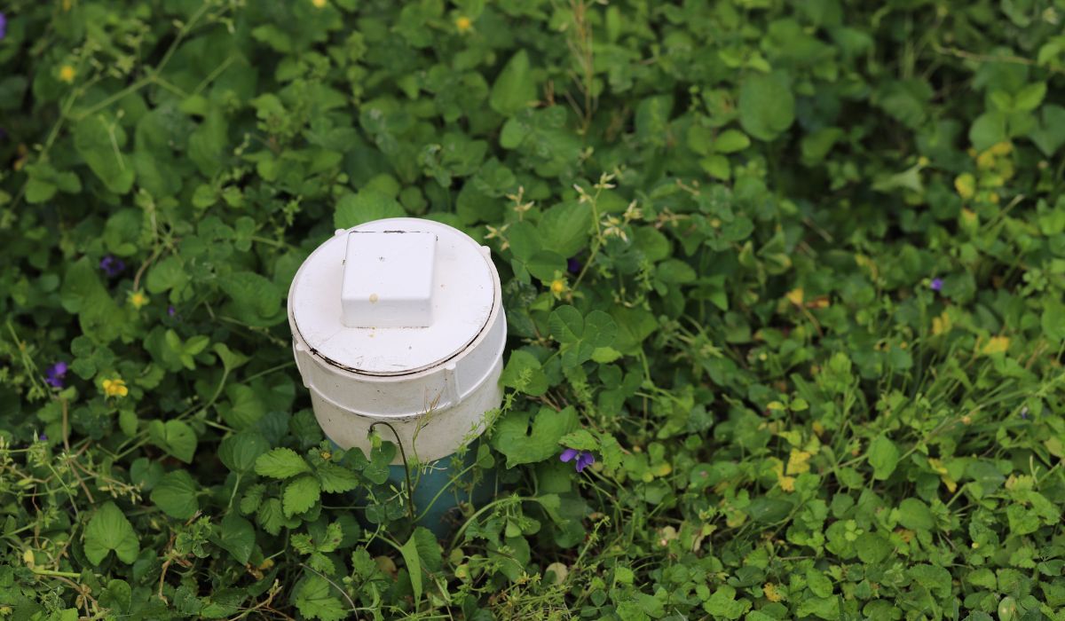 How to Solve Yard Drainage Problems