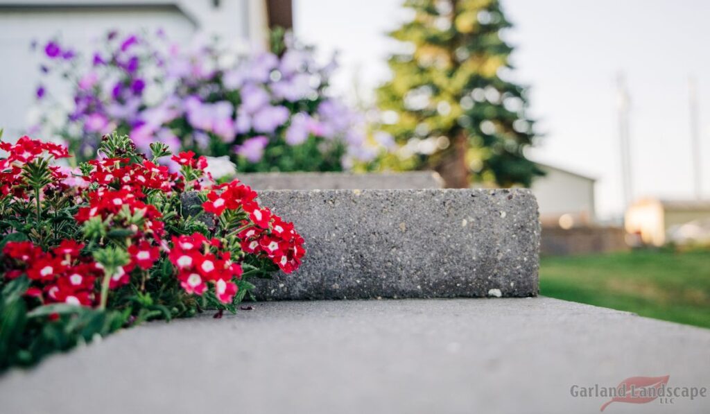 Quick and Easy Curb Appeal Upgrades