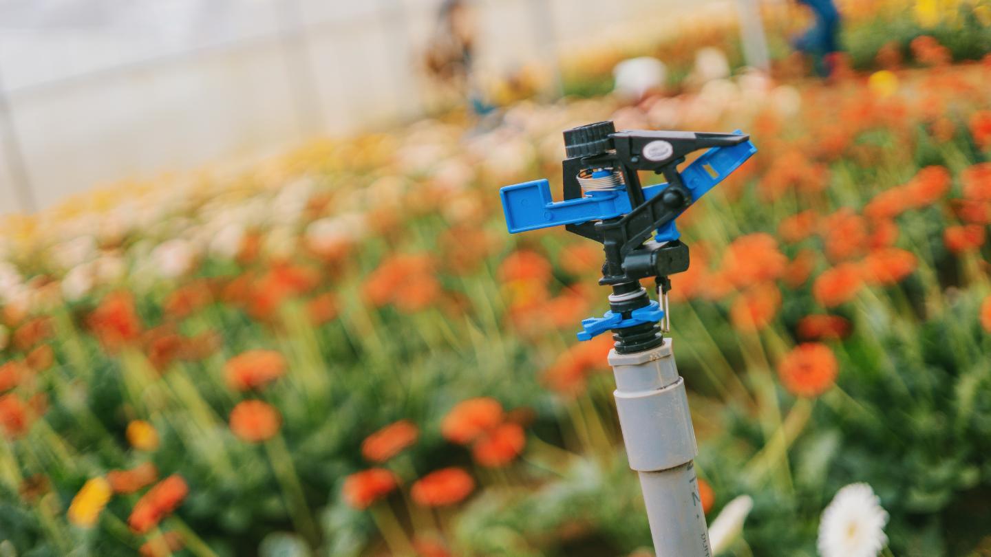 8 Common Sprinkler Problems and How to Fix Them