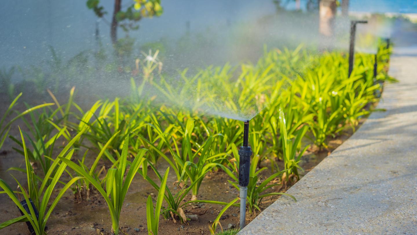 8 Common Sprinkler Problems and How to Fix Them