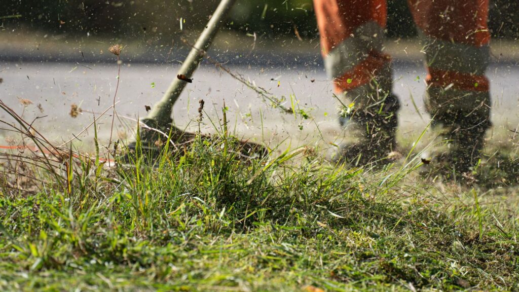 Low Maintenance Landscaping for Gig Harbor Yards