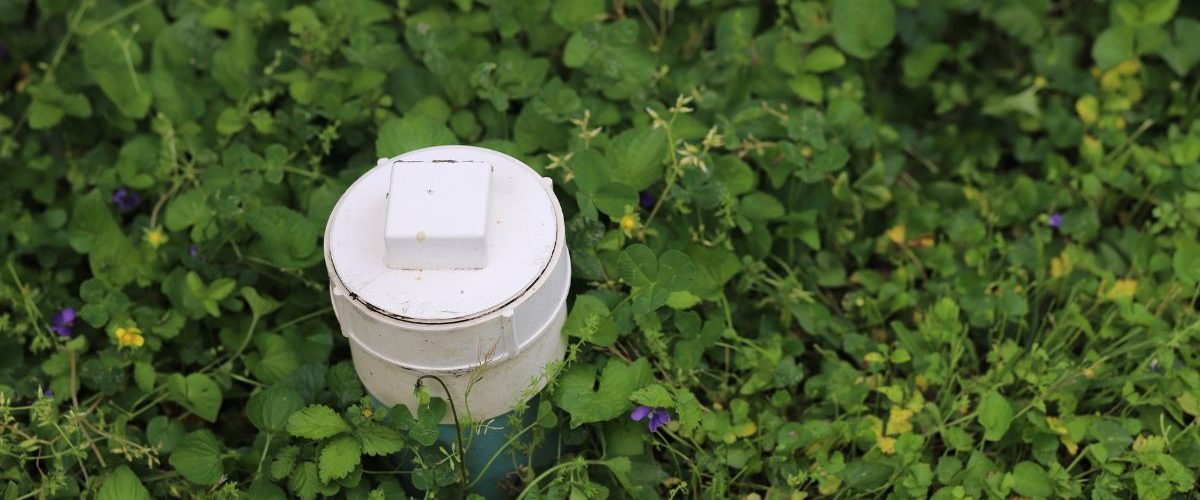 How to Solve Yard Drainage Problems